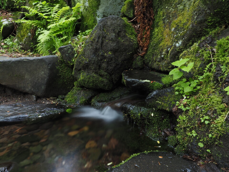 甘露泉水