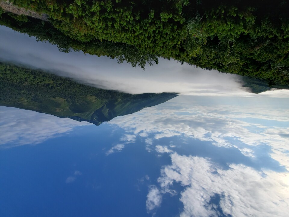 朝靄
